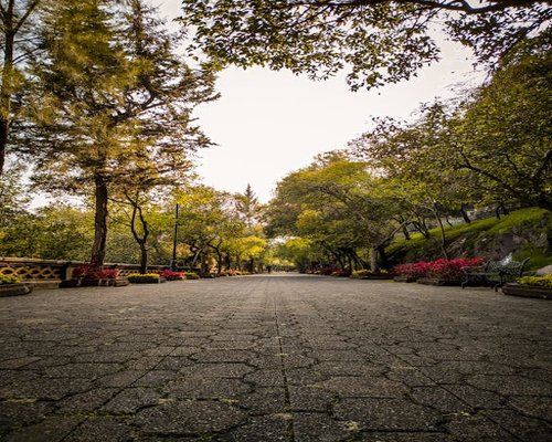 Persona caminando tranquilamente por un parque de la ciudad