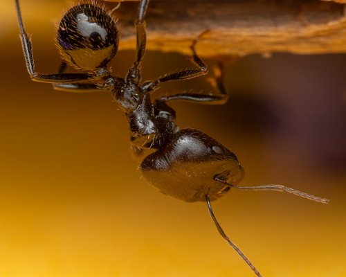 Persona con actitud positiva tomando un café matutino antes de ir a trabajar